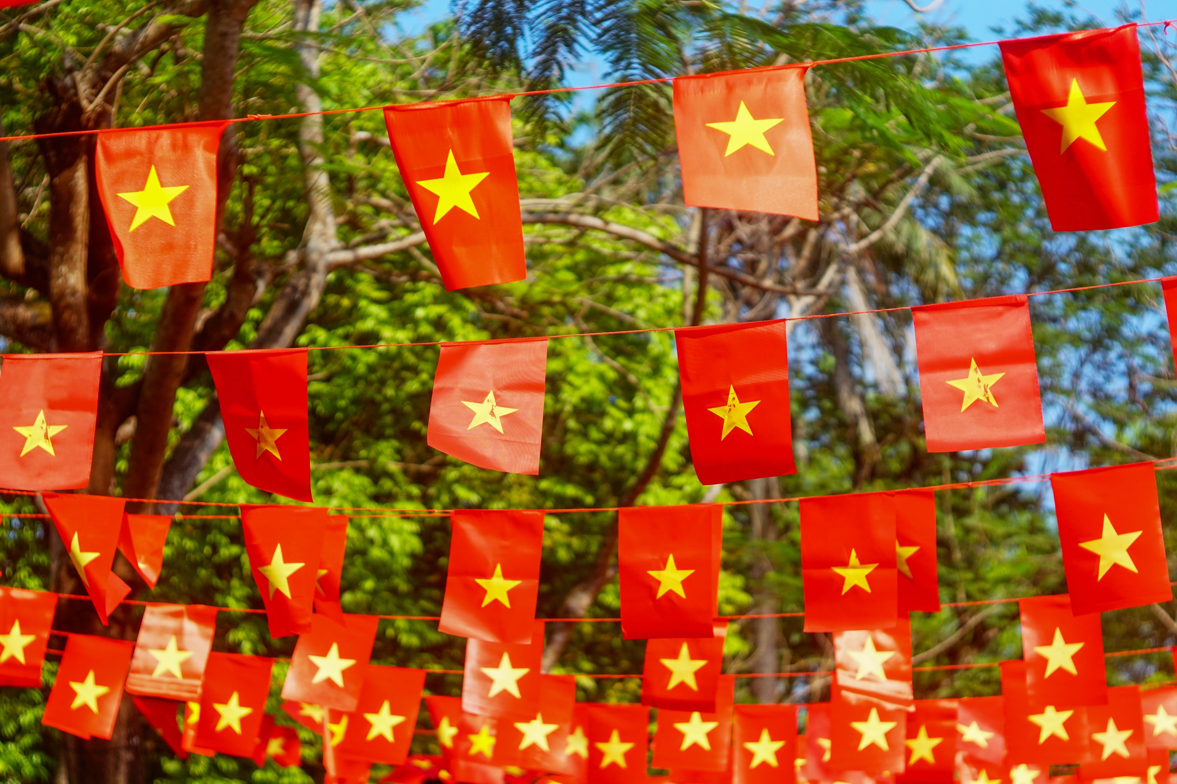 Container freight — importing from Vietnam to Spain via EVFTA